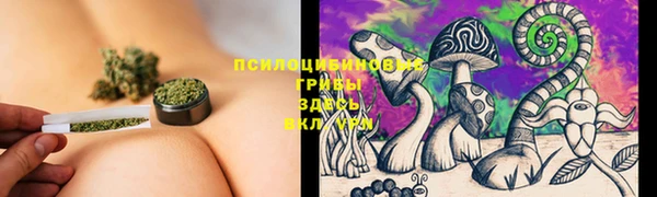 молекула духа Абдулино