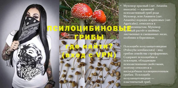 прущая мука Абинск