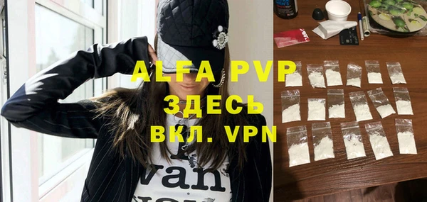 прущий лед Абаза