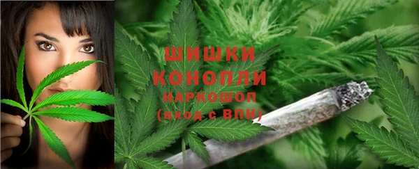 прущий лед Абаза