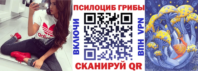 МЕГА как войти  Собинка  Галлюциногенные грибы GOLDEN TEACHER 