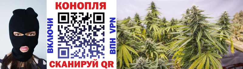 магазин продажи наркотиков  Собинка  Конопля индика 